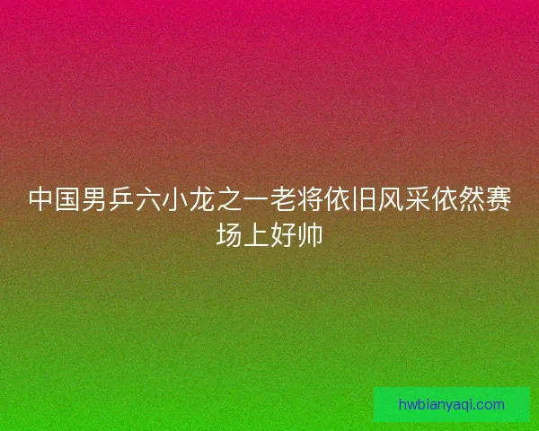 中国男乒六小龙之一老将依旧风采依然赛场上好帅