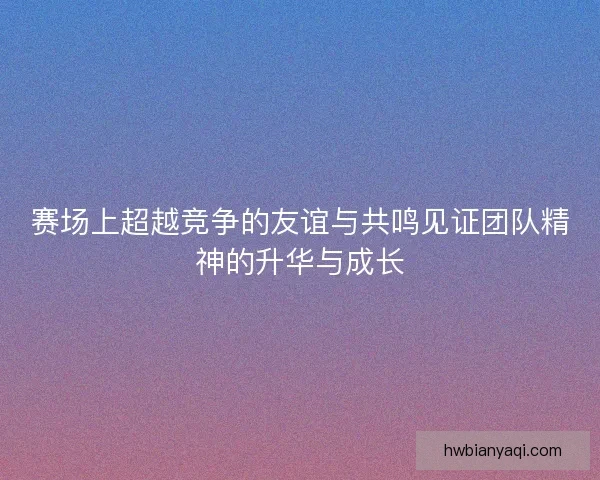 赛场上超越竞争的友谊与共鸣见证团队精神的升华与成长